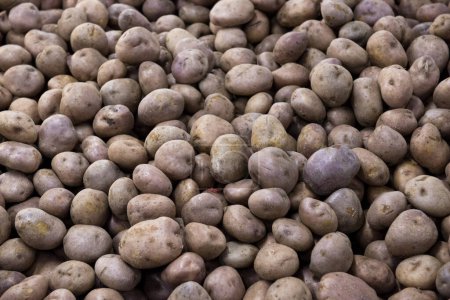 Téléchargez les photos : Contexte des pommes de terre brunes au supermarché. - en image libre de droit