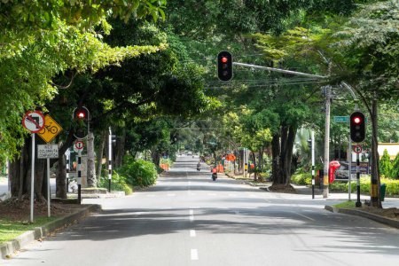Foto de Medellin, Antioquia, Colombia. July 20, 2020: Nutibara avenue with green corridor in quarantine days. - Imagen libre de derechos