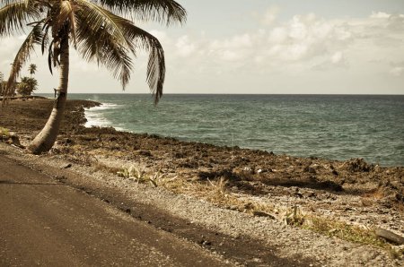 Foto de Mar Caribe y paisaje de palmeras en la Isla de San Andrés. - Imagen libre de derechos