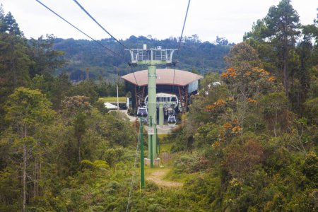 Téléchargez les photos : Forêt dans le parc Arvi. Santa Elena, Antioquia, la Colombie. - en image libre de droit