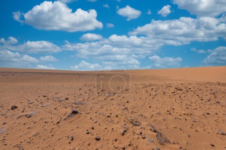 Arid landscape with sea and beautiful blue sky in the taroa dunes. Guajira, Colombia. 