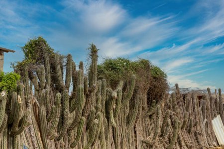 Foto de Hermoso paisaje desértico con cielo azul en Cabo de Vela. La Guajira, Colombia. - Imagen libre de derechos