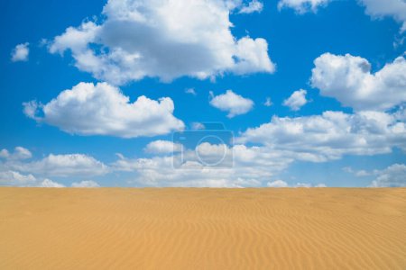 Pflanze auf Sand und Himmel in der Wüste Taroa. Guajira, Kolumbien.