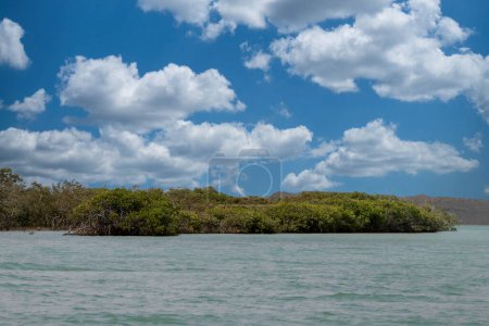 Foto de Paisaje de manglares en Punta Gallinas, Guajira, Colombia. - Imagen libre de derechos