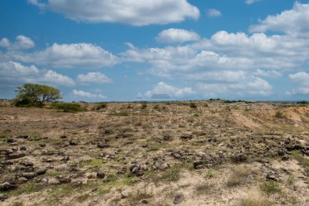 Panoramalandschaft auf dem Los Hoyos Trail. Dünen und Berge, die Labyrinthe bilden. Desierto de la Tatacoa, Kolumbien.