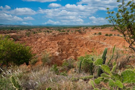 Natural landscape with geological formations and green Cactus in the Red Desert. Huila, Colombia.
