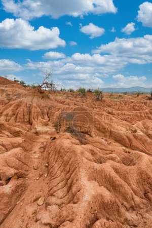 Natural landscape with geological formations and green Cactus in the Red Desert. Huila, Colombia.