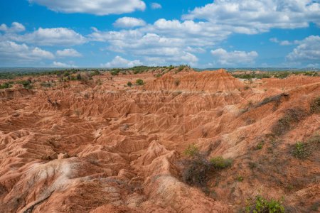 Téléchargez les photos : Paysage naturel avec formations géologiques et cactus vert dans le désert rouge. Huila, la Colombie. - en image libre de droit