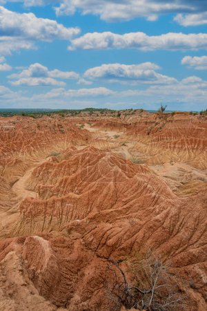 Téléchargez les photos : Paysage naturel avec formations géologiques et cactus vert dans le désert rouge. Huila, la Colombie. - en image libre de droit