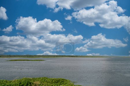 Paysage avec vue sur le marais Tesca. Santa marta la colombie.
