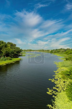 Photo for Natural landscape with a view of the Totumo swamp in Bolivar, Colombia. - Royalty Free Image