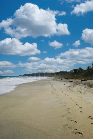 Paisaje en las playas del Parque Nacional Tayrona con cielo azul. Santa marta colombia.