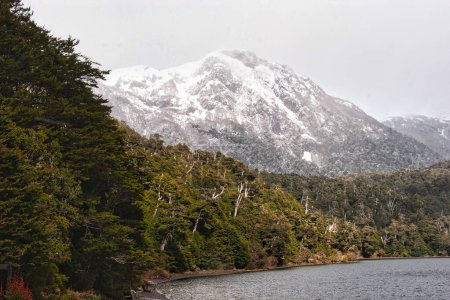 Landscape in the Nahuel Huapi national park. San Carlos de Bariloche, Argentina.