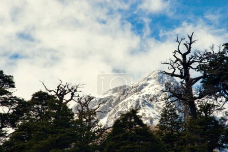 Téléchargez les photos : Paysage dans le parc national Nahuel Huapi. San Carlos de Bariloche, Argentine. - en image libre de droit