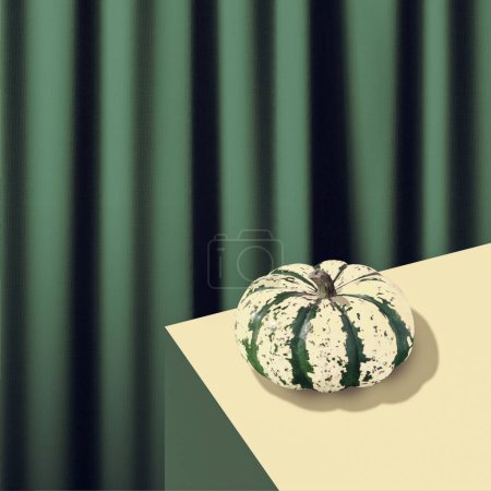 Téléchargez les photos : Mise en page créative de citrouille d'automne avec fond de rideau vert. Concept saisonnier créatif. - en image libre de droit