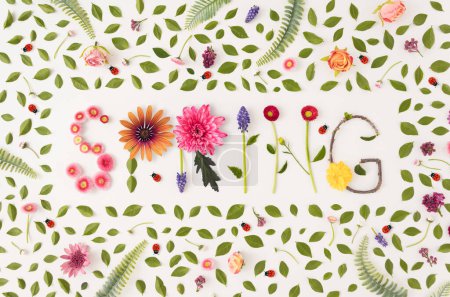 Téléchargez les photos : Word printemps fait de fleurs colorées sur un fond lumineux. Concept printemps ou été. Pose plate - en image libre de droit