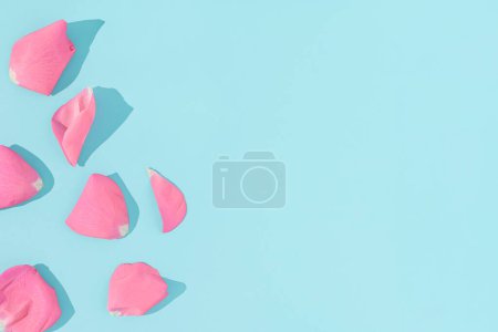 Photo for Pink rose flower petals on bright blue background. Minimal nature or woman's day concept. Creative background. - Royalty Free Image