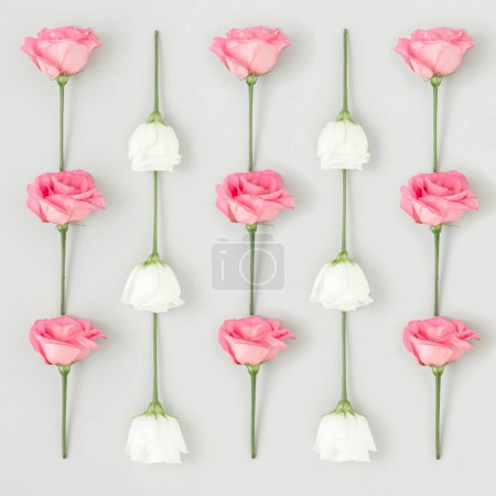 Téléchargez les photos : Composition créative de fleurs roses et blanches. Fond naturel. Fleurerscape plat laïc. - en image libre de droit