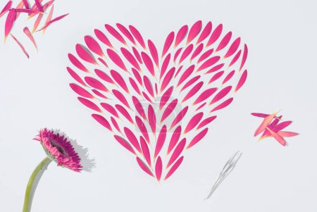 Foto de Símbolo del corazón hecho de pétalos de flores rosadas. Puesta plana
. - Imagen libre de derechos