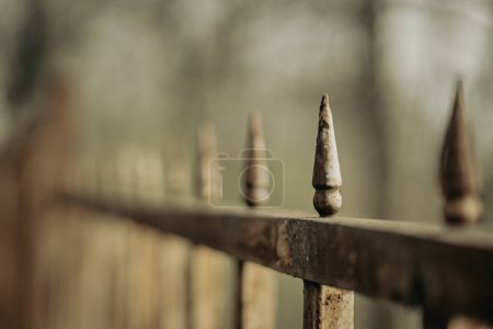 Photo for Rusty spikes and blured background - Royalty Free Image