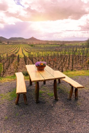 viñedo de vinería en la colina de San Jorge junto al lago Balaton con resorte de mesa de madera .