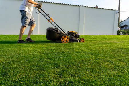 green grass cutting with lawn mower in home garden .