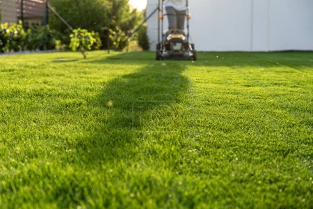 green grass cutting with lawn mower in home garden .