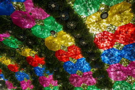 colorido vibrante brillante floral und arco paraguas