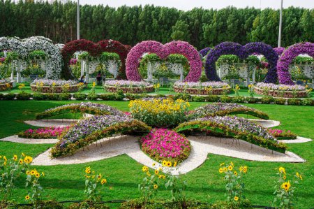 Coloridas y vibrantes flores en el jardín milagroso de Dubai Emiratos Árabes Unidos .