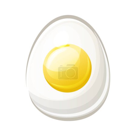 Foto de Isolated egg with yolk. Cartoon object - Imagen libre de derechos