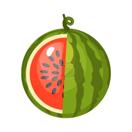 Photo for Watermelon in flat design. Summer icon. - Royalty Free Image