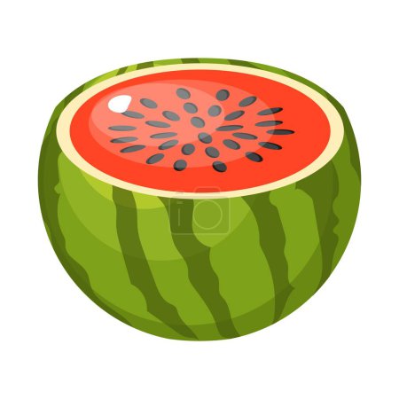 Photo for Half of the watermelon. Summer icon. - Royalty Free Image