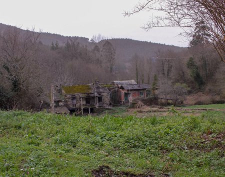 vieja casa abandonada cerca del bosque