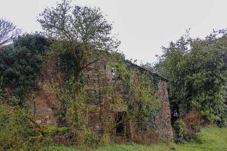 antigua casa abandonada en Galicia, España, con un árbol cerca de ella