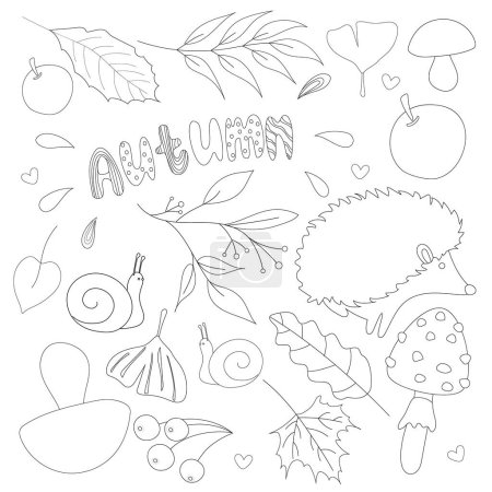 Foto de Colección de otoño estacional de animales del bosque y hojas en color negro para libros infantiles y páginas para colorear. - Imagen libre de derechos