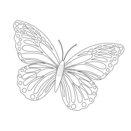 Foto de Libro para colorear mariposa para niños en blanco y negro aislado sobre un fondo blanco. Ilustración vectorial de una mariposa con hermosas alas abiertas para materiales infantiles. - Imagen libre de derechos