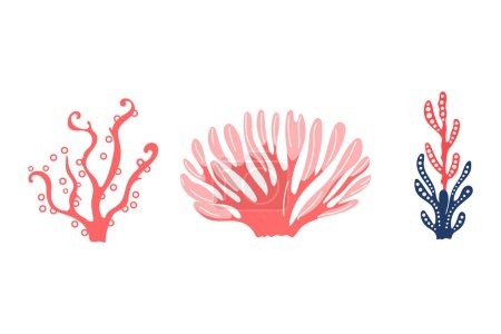 Illustration for Sea plants, water, flat style vector, pink and blue, isolated on white. - Royalty Free Image