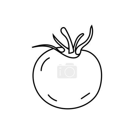 Foto de Ilustración Doodle de tomate en blanco y negro, línea negra, aislado en blanco. Hortalizas. - Imagen libre de derechos