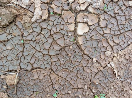 An evocative image of parched, cracked soil depicting the harsh impact of heat-induced dryness. A haunting portrayal of environmental challenges and the consequences of climate change on our delicate ecosystems.