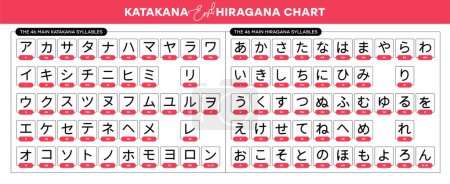 Vector japanese katakana end hiragana alphabet with english transcription for quick learn Katakana end Hiragana. Vector illustratio