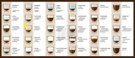 Guide to the different types of coffee drinks. Infographic on types of coffee, proportions and their preparation coffee drinks. Cafe menu. Vector illustration.