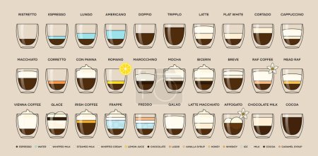 Guide to the different types of coffee drinks. Infographic on types of coffee, proportions and their preparation coffee drinks. Cafe menu. Vector illustration.