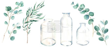 Watercolor eucalyptus branch set with glass bottle, vase, jar. Willow, silver dollar, true blue and seeded eucalyptus. Watercolor hand drawn botanical illustration isolated on white background. Can be