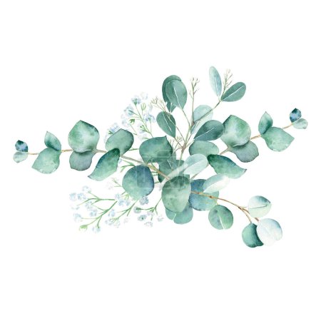 Eucalyptus watercolor bouquet. Silver dollar, true blue, seeded and gypsophila branches. Hand drawn botanical illustration isolated on white background. Can be used for greeting cards, posters