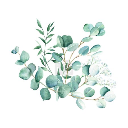 Téléchargez les photos : Bouquet aquarelle verdure. Eucalyptus, gypsophiles et branches de pistaches. Illustration botanique dessinée à la main isolée sur fond blanc. Peut être utilisé pour les cartes de vœux, affiches, mariage et bébé - en image libre de droit