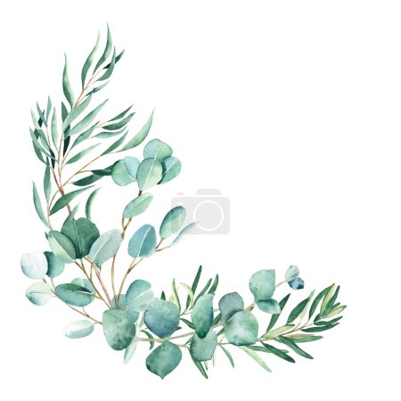 Ramo de acuarela. Eucalipto, pistacho y ramas de olivo. Azul verdadero, sauce, dólar de plata. Ilustración botánica dibujada a mano aislada sobre fondo blanco. Se puede utilizar para tarjetas de felicitación, boda