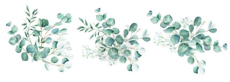 Watercolor bouquets set. Eucalyptus, pistachio and gypsophila branches. Hand drawn botanical illustration isolated on white background. Can be used for greeting cards, wedding and baby shower