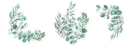 Téléchargez les photos : Set de bouquets aquarelle. Eucalyptus, pistaches et branches d'olivier. Illustration botanique dessinée à la main isolée sur fond blanc. Peut être utilisé pour les cartes de vœux, les nvitations de mariage et de baby shower - en image libre de droit