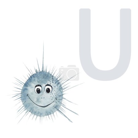 Foto de Letter U, urchin, cute kids animal ABC alphabet. Watercolor illustration isolated on white background. Can be used for alphabet or cards for kids learning English vocabulary and handwriting - Imagen libre de derechos