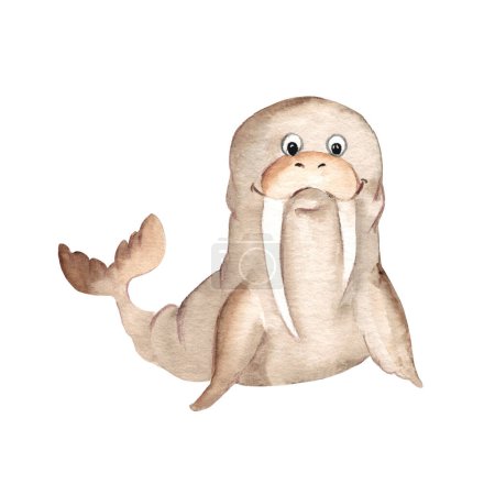 Téléchargez les photos : Cute walrus isolated on white background. Watercolor hand drawn illustration. Perfect for kid cards and posters, clothes prints and wallpaper design, scrapbooking - en image libre de droit